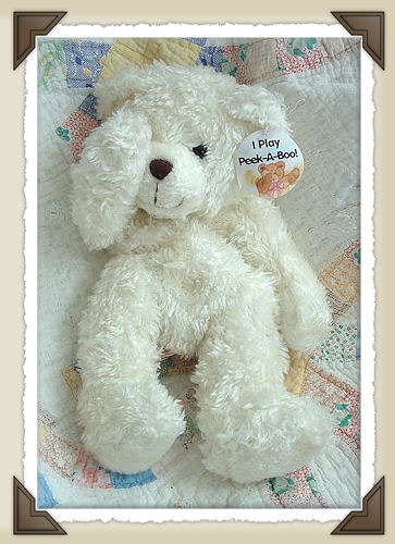 *Bear Fuzzy Peek a Boo Unstuffed*CL