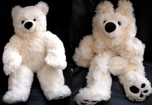 - Paws Bear*CL