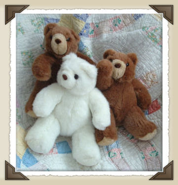 *Bear Small Cushy Stuffed*CL