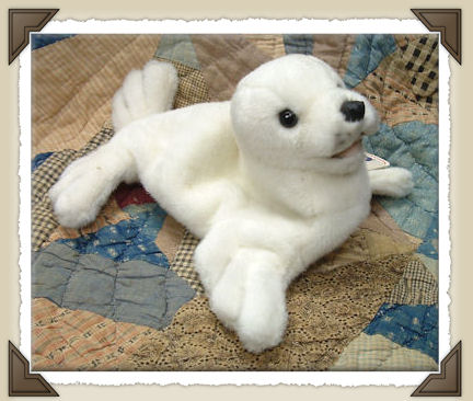 *Baby Seal*CL