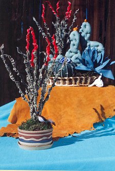 079 - Ocotillo Cactus *CL