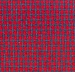 Burg-65 * Red/Blue Check*CL