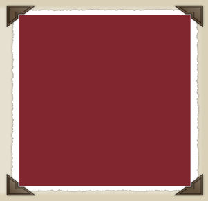 Burg-69 * Solid Dark Cranberry Red Flannel