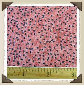 CL-21 * Red Watermelon Seed Print*CL
