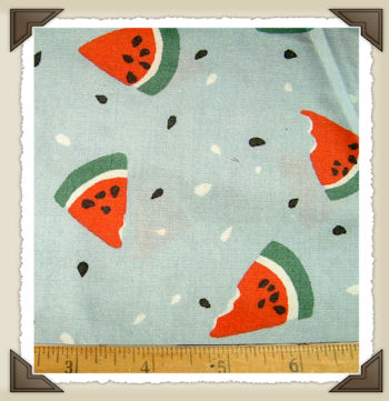 CL-25 * Light Blue Watermelon Print*CL