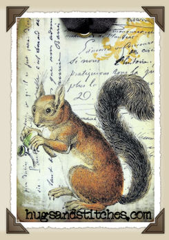 s077 - Squirrel Tags
