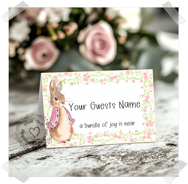 Pink Bunny Rabbit Baby Shower Birthday Tent Place Card #360