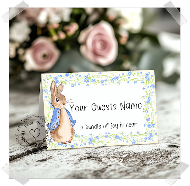 Blue Bunny Rabbit Baby Shower Birthday Tent Place Card #361